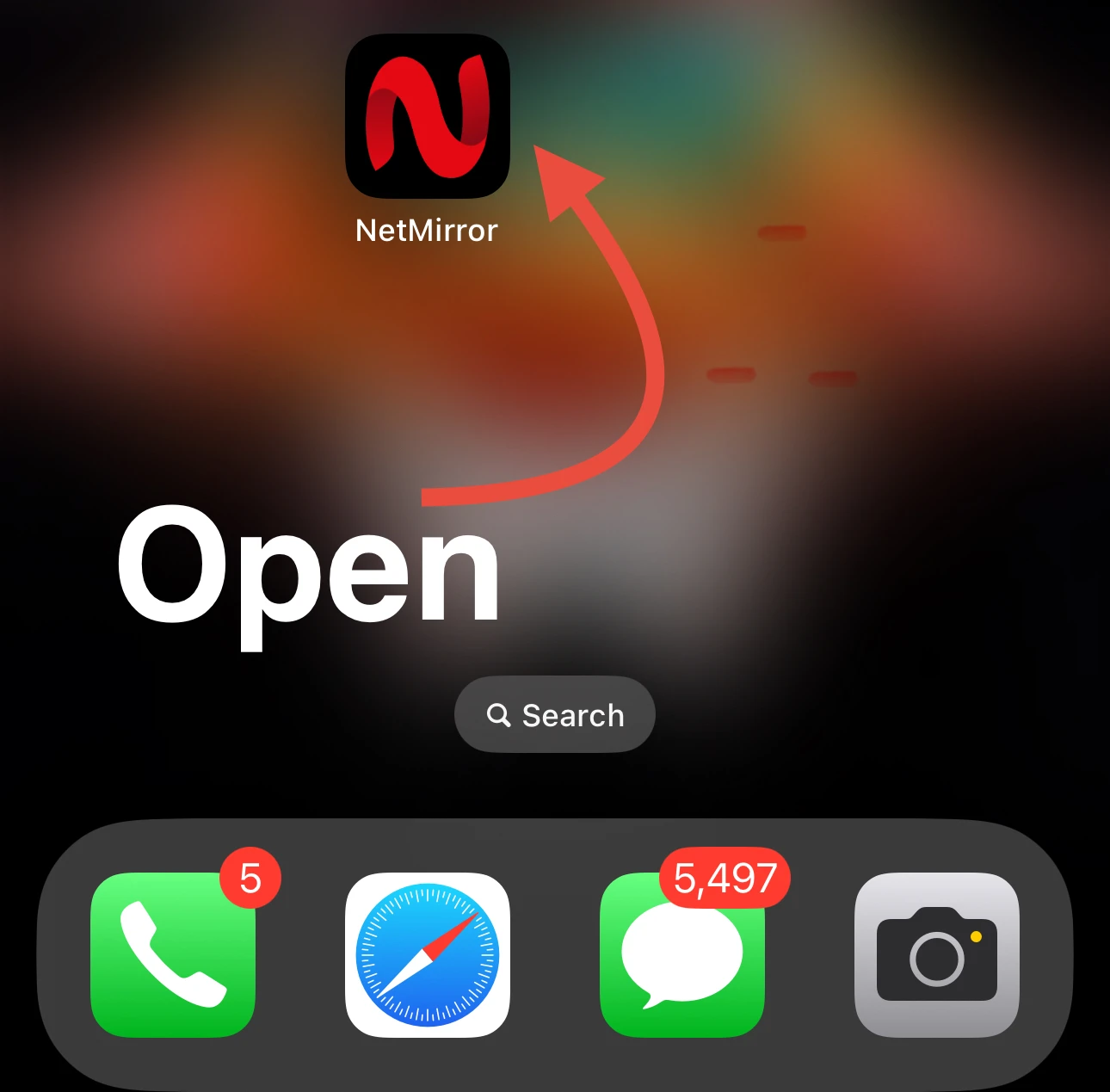 Launch NetFree App from Home Screen