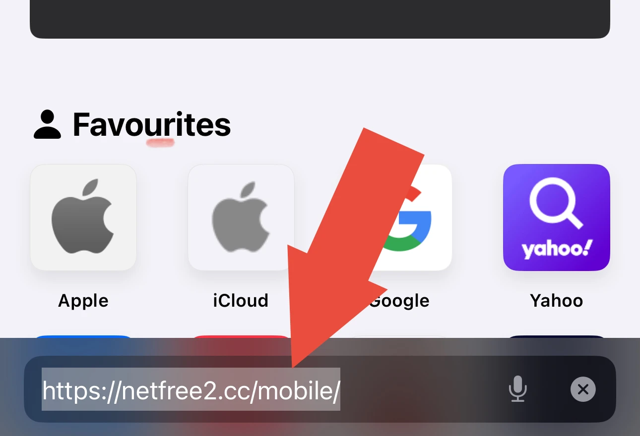 Visit NetFree site in Safari